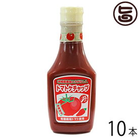 島とうがらし入り トマトケチャップ 300g×10本 沖縄 人気 土産 調味料