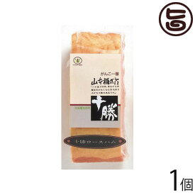 十勝ロースハム(原木) 300g×1個 ブロック 北海道 人気 贅沢 ご褒美 豚肉