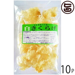 Ԗ 炰 50g×10P  yY lC LNQ LNQ ؎ R[Q h{Lx
