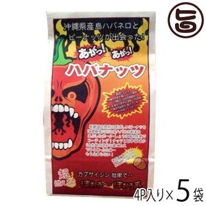 nm  noibc i50g×4Pj×5  yY lC hَq nol ܂ 