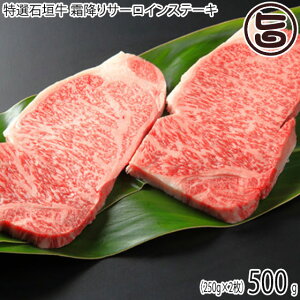 Mtg dRp[c~[g IΊ_ ~T[CXe[L 500g (250g×2)  yY lC ꌧYa  p 蕨