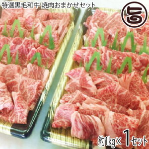 Mtg ̏ eIJ Iјa ē܂Zbg ネ[X n~ 1kg 5lO ڗɂ茵I o[xL[ BBQ OɃJbg p 蕨