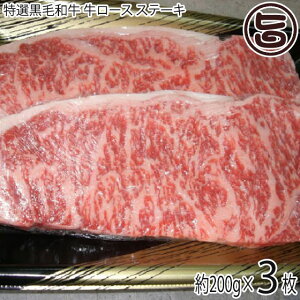 ギフト 肉の匠テラオカ 特選黒毛和牛 牛ロース ステーキ 約200g×3枚 目利きにより厳選 ご自宅用に 贈り物に