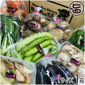 旬の採れたて新鮮野菜詰め合わせ Lサイズ Buu Fuu Uuu×1セット 乳酸菌生産物質を使用 お客様の食卓に笑顔を届け 中身は季節により異なります