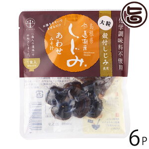 ʋl ΎY ȑ嗱ݏ` 킹݂ 48g×6  yY lC VW~ ݂` wsgp 