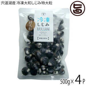 ʋl ΎY Ⓚaݓ嗱 k16mmȏ(͂) 500g×4P  n VN VW~  X Ij`