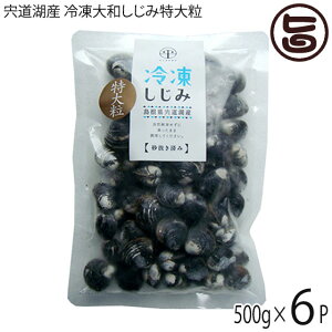 ʋl ΎY Ⓚaݓ嗱 k16mmȏ(͂) 500g×6P  n VN VW~  X Ij`