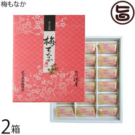 ギフト 港屋 梅もなか 18個入り×2箱 老舗和菓子屋のスイーツ 和歌山 土産 和菓子 モナカ 最中