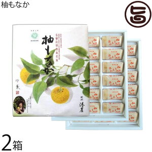 Mtg ` MȂ 36×2 Vܘaَq̃XC[c Y100 a̎R 蕨