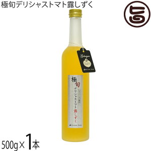 fVXt@[ ɏ{fVXg}g I 500g×1{ {錧 W[X