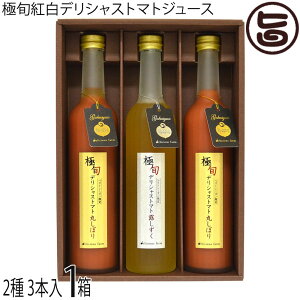 Mtg xXgV[Y fVXt@[ ɏ{gfVXg}gW[X 3{Zbg {錧