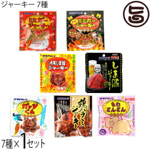 W[L[ 9×1Zbg nHi  lC  ܂