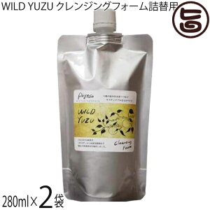 reEmake WILD YUZU 䂸NWOtH[l֗p 280ml×2 Mq