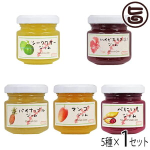 AiiXt[Y pCibv V[N[T[ nCrXJX }S ׂɂ 50g×e1r 5Zbg  lC yY W ꌧYޗgp