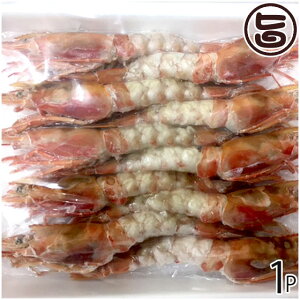 t쏤X Hp ԊCV Lނ 2L 17ȏ 10×1P {錧 x lC yY CN  𓀂ŕ֗ hgɂ