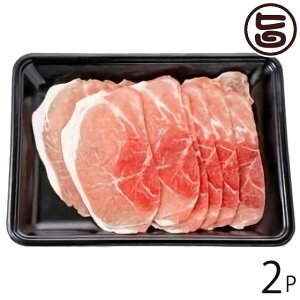 tbV~[gȂ ΂铇؂[   Ăp 500g×2P  yY AO[ Md  p yY