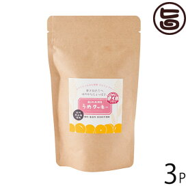 濱田 うめクッキー 80g×3P トランス脂肪酸ゼロ グルテンフリー うめ塩 和歌山 土産 クッキー 菓子