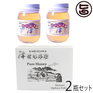 Mtg {I YAJVA݂͂ r 500g×2r Mtg 쌧 MB lC yY 鍁荂~c p 蕨