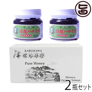 Mtg {I YSԂ݂͂ r 300g×2r Mtg 쌧 MB lC yY p 蕨