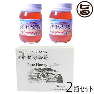 Mtg {I Y񂲂݂͂ r 500g×2r Mtg Y{I 쌧 MB lC yY p 蕨
