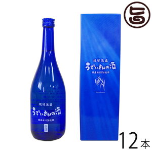 {̉ ł̎ 30x 720ml×12{  lC  yY A YĂЂ̂Ђgp