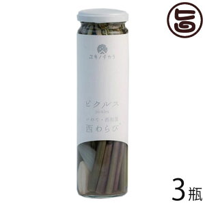 Mtg aYƌ Lm`Jт̃sNX 120g×3r 茧 yY  msNX LŃXpCV[ wV[ ܂