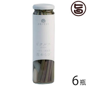 Mtg aYƌ Lm`Jт̃sNX 120g×6r 茧 yY  msNX LŃXpCV[ wV[ ܂