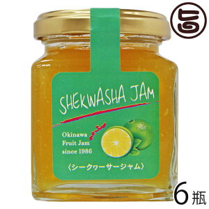 _ gsJW V[N[T[W(}S[) 140g×6r  yY ~bNXW }S[ʓґW p⃈[OgAt[c\[XhbVO