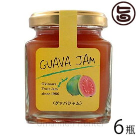 沖縄農園 トロピカルジャム グァバ 140g×6瓶 沖縄 土産 ミックスジャム 甘さ控えめの爽やかな風味 パンやヨーグルト、お菓子作りやドレッシングに