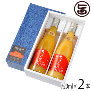 Mtg Ăȃbv ʓьW[X ӂ 720ml×2{ 쌧 yY ʎ t[cW[X p p[eB[ 蕨