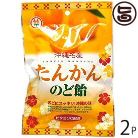 竹製菓 たんかん のど飴 80g×2P 沖縄 人気 定番 土産 菓子 あめ