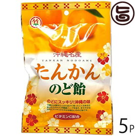 竹製菓 たんかん のど飴 80g×5P 沖縄 人気 定番 土産 菓子 あめ