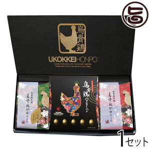 Mtg G{{ j Ĉ G{ɃXC[c MtgZbg 򕌌 yY 󏭂ȉG{̗gp