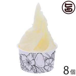 ΂WF[g RV[N[T[ 90ml×8Zbg  yY WF[g X ꏟRYV[N[T[