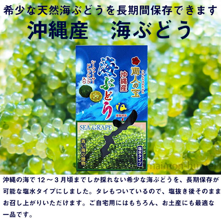 楽天市場 海人の宝 塩水タイプ 沖縄産 海ぶどう 100g 8箱 沖縄 土産 人気 海藻 ぷちぷち食感の海ぶどう シークヮーサー果汁入りのタレ付 送料無料 旨いもんハンター
