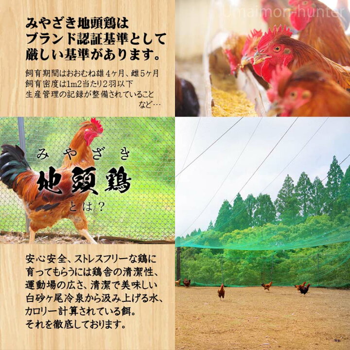 楽天市場 白砂ヶ尾地鶏牧場 みやざき地頭鶏 メス1羽セット 宮崎県産 地鶏 ブランド肉 鶏肉 お取り寄せ 送料無料 旨いもんハンター