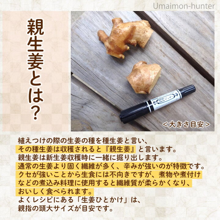 楽天市場】ワクトフーズ 高知県産 親生姜 20kg×1箱 高知県 : 旨いもん 