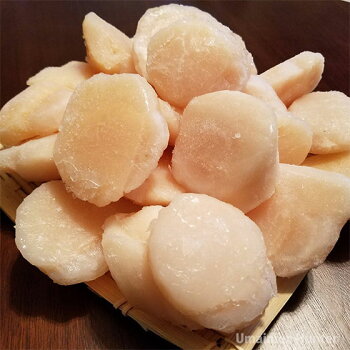 網走産冷凍天然地撒き生ホタテ貝柱1kg×2P条件付き送料無料北海道お土産港町水揚げすぐ新鮮活ホタテ瞬間冷凍