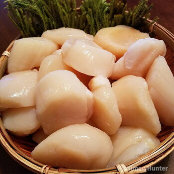 網走産冷凍天然地撒き生ホタテ貝柱1kg×2P条件付き送料無料北海道お土産港町水揚げすぐ新鮮活ホタテ瞬間冷凍