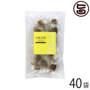 MюA ꍕ100% Ȃ܁E` 120g×40  TgELr  lC 