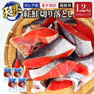 送料無料 天然 紅鮭切り落とし 1.2kg 300g×4パック 紅鮭 希少部位 規格外 ロシア産 国内加工 訳あり さ…