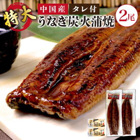 送料無料 中国産 超特大 うなぎ 炭火蒲焼 2尾(約450g×2) 高品質 うなぎ 鰻 ウナギ