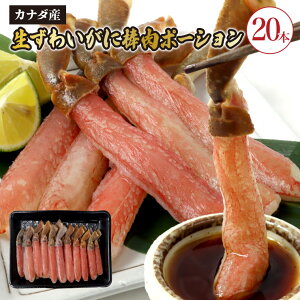  킢ɖ_|[V500g(20{) YC Jj I NO NzO Ԃ 