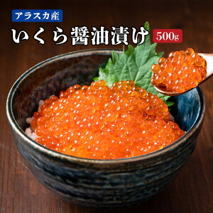   ݖЂ500g CN AXJY  TP   NzO