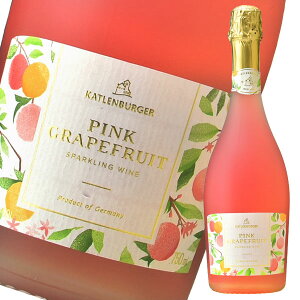 hN^[fB[X sNO[vt[cXp[NO750ml×1P[XiS12{j 