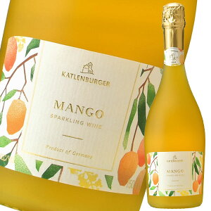 hN^[fB[X }S[ Xp[NOC750ml×1P[XiS12{j 