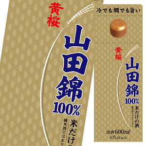  Ă̎ Rc600ml pbN ×2P[XiS12{j 