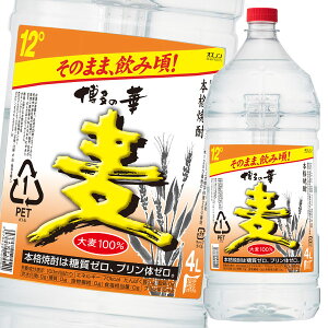  12x̉ 4Lybg×2P[XiS8{j 