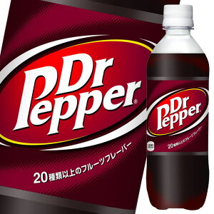 RJER[hN^[ybp[500ml×1P[XiS24{j 