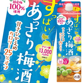 合同 すっぱい あっさり梅酒1Lパック×1ケース（全6本） 送料無料